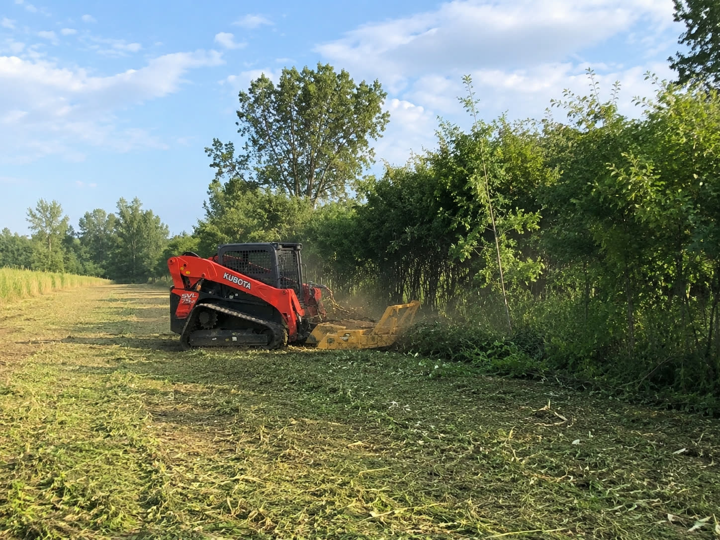 Tracked machine with a brush mower clearing vegetation along a rural fenceline